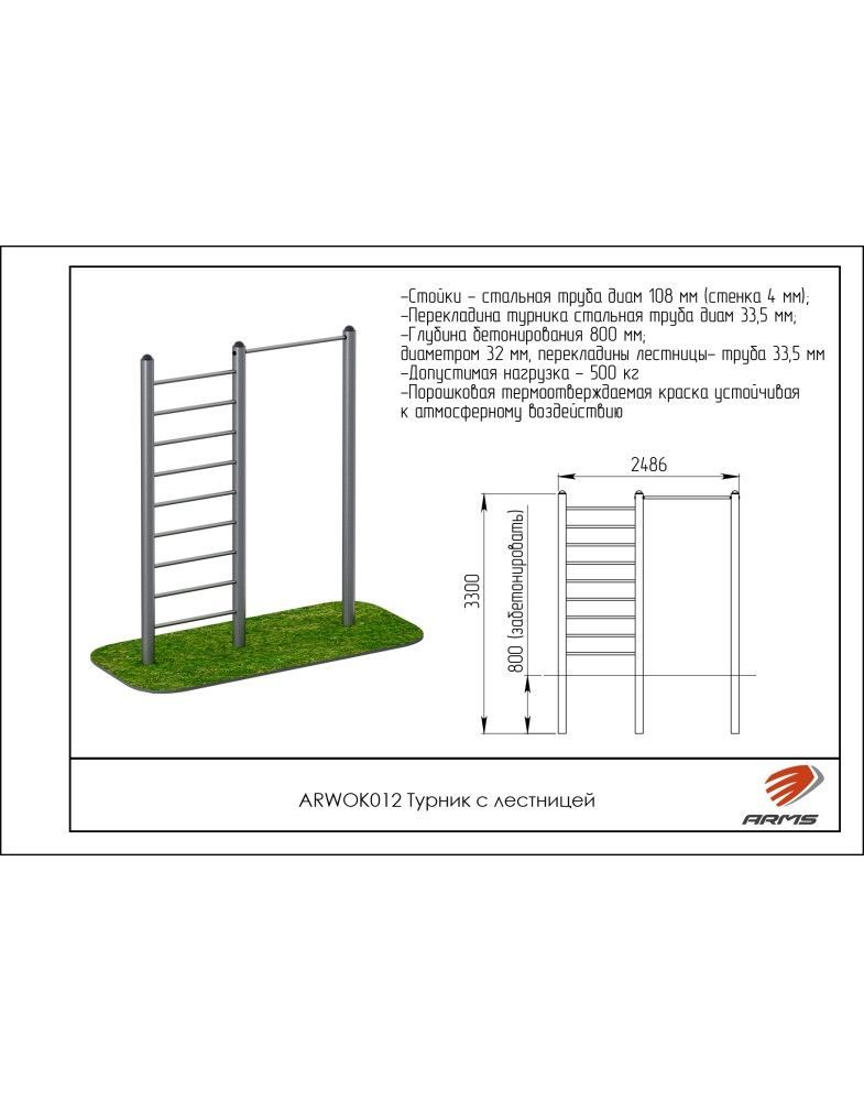 Турник с лестницей   Pioner A15670