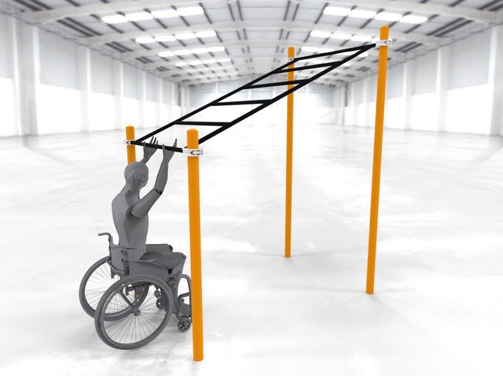 Рукоход в подъем параворкаут  Pioner A11838