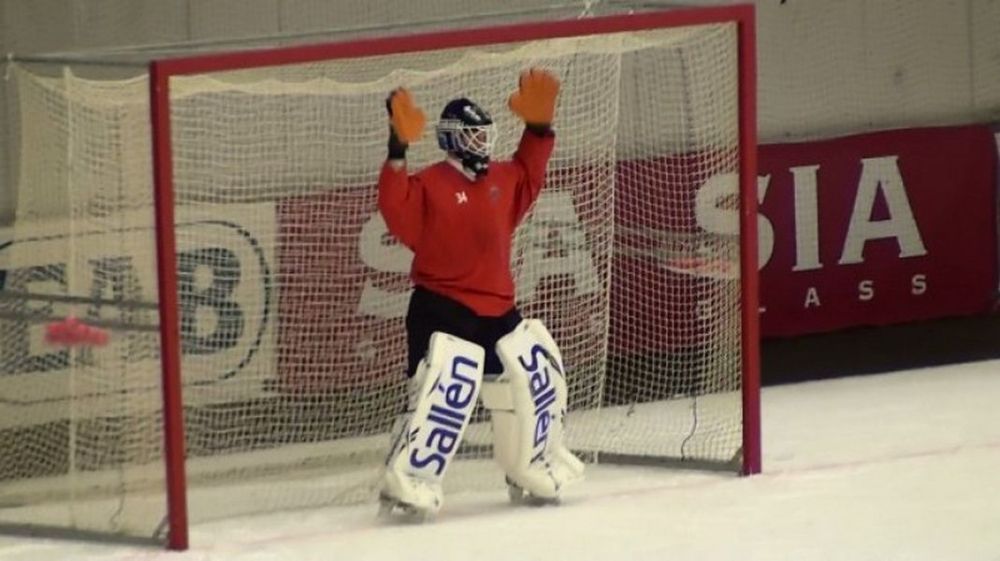 Сетка гашения для ворот хоккея с мячом нить 3,0 мм  Pioner A14895