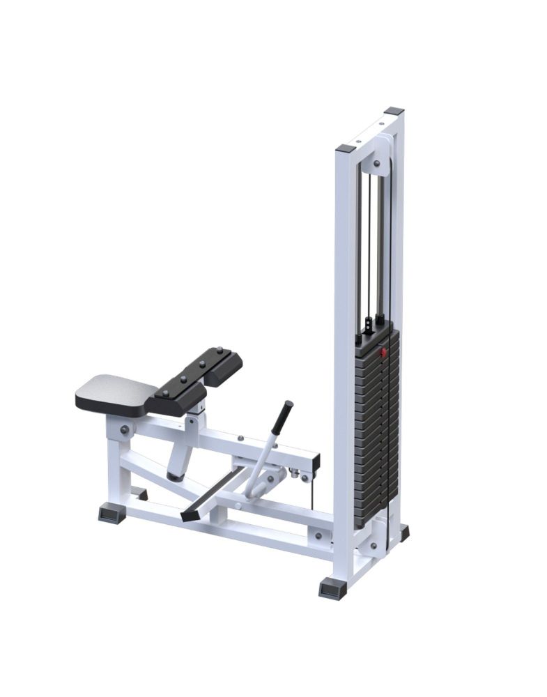 Голень станок сидя  (стек 100кг) Pioner A11963