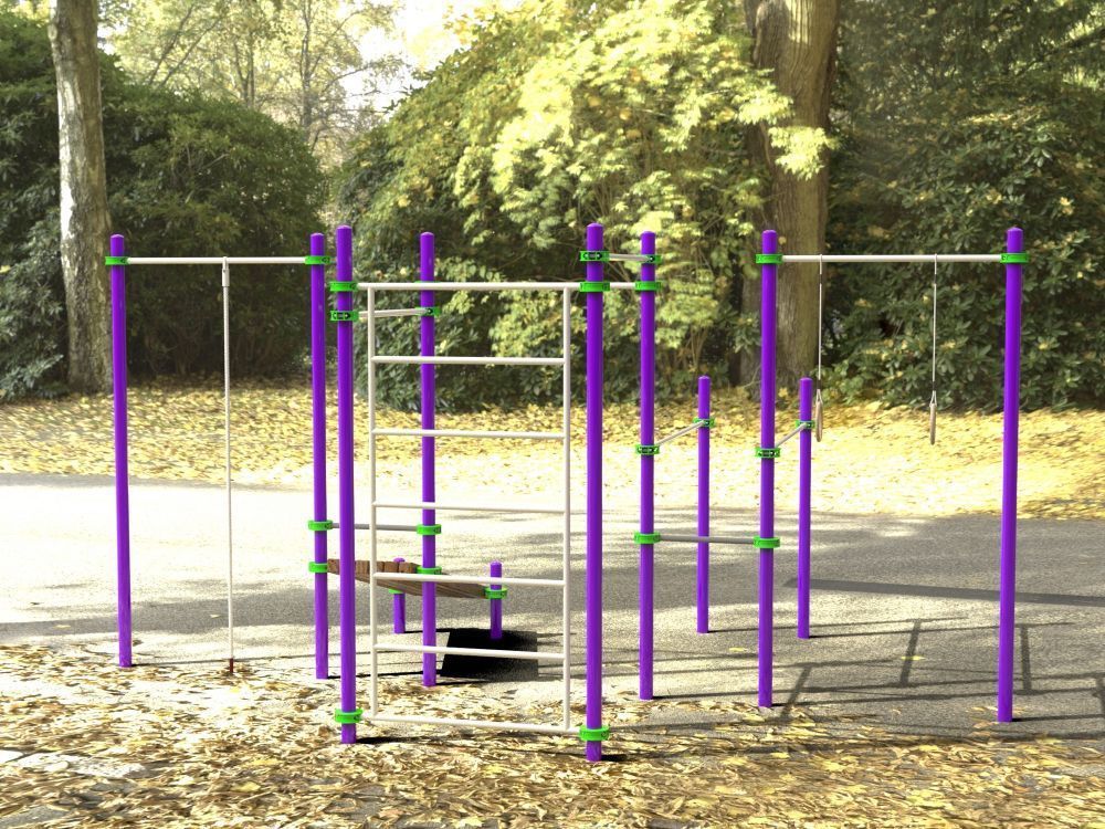 Комплекс для занятий Воркаут Pioner A16733