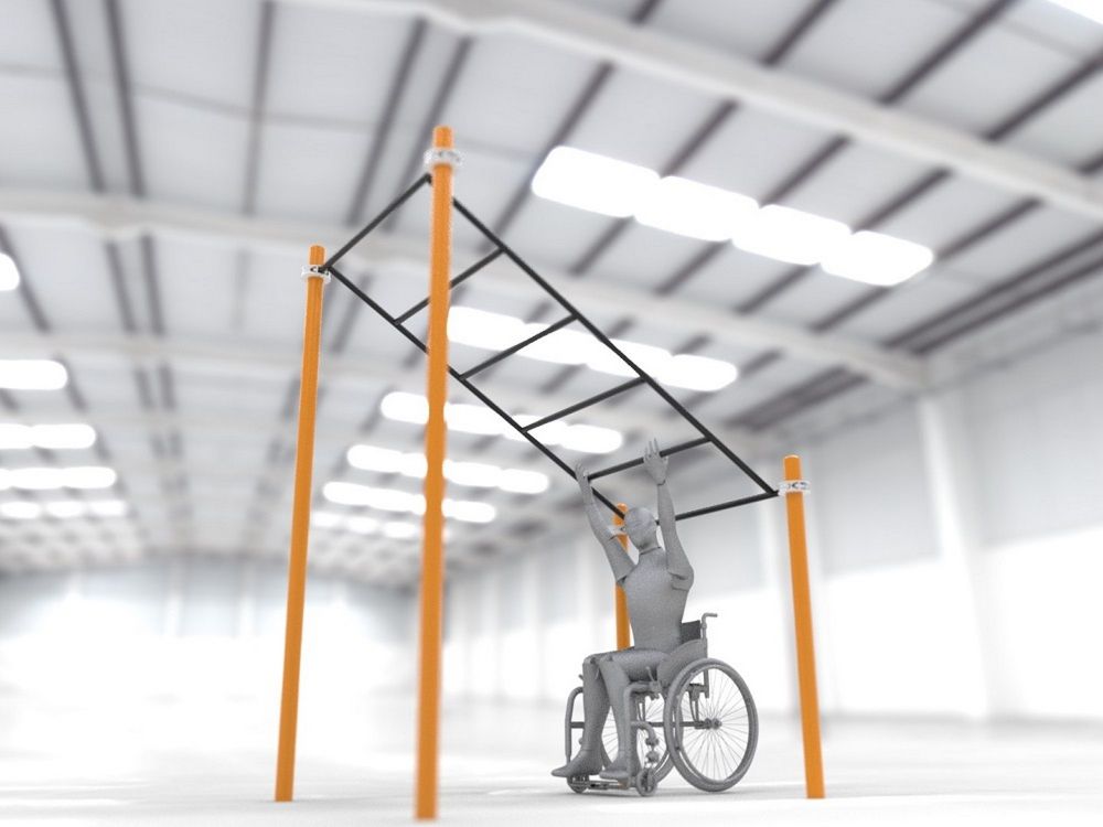 Рукоход в подъем параворкаут Pioner A11838