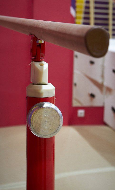 Жерди олимпийские мужские, углепластиковые, профессиональные, для параллельных брусьев  Pioner A14717