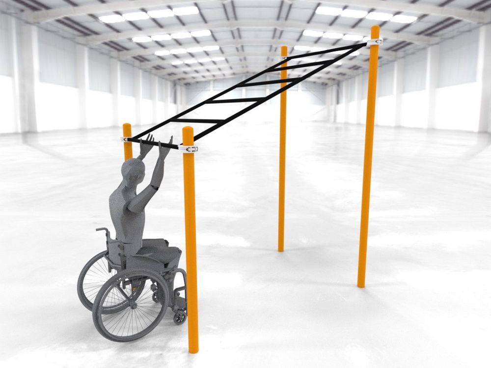 Рукоход в подъем параворкаут  Pioner A11837