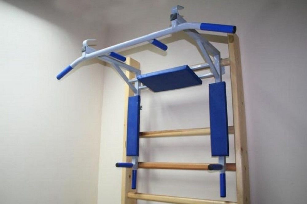 Турник-брусья навесной со спинкой и подлокотниками  Pioner A12019