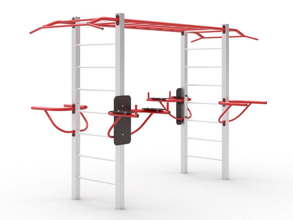 Уличный спортивный комплекс с рукоходом  Pioner A16873