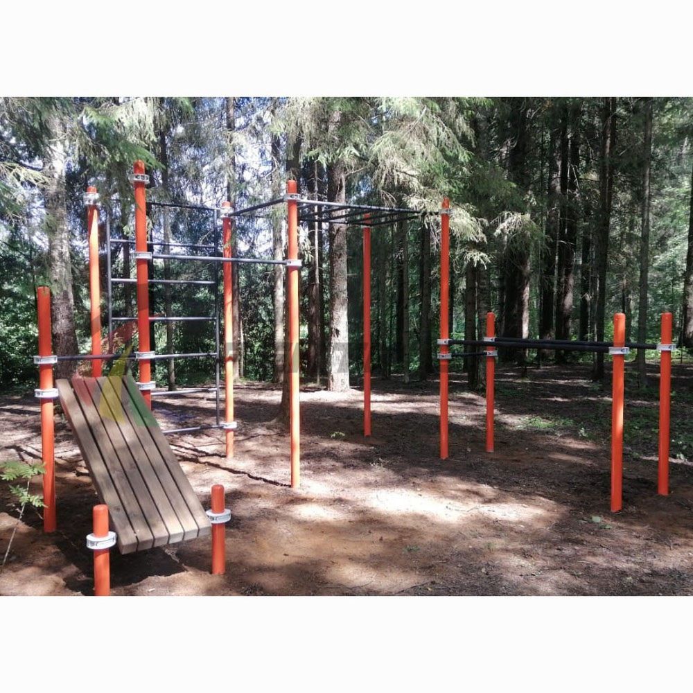 Комплекс для занятий Воркаут  Pioner A16613