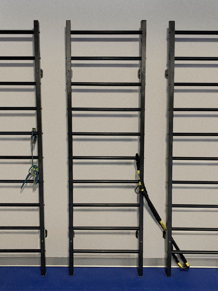 Шведская стенка металлическая разборная  Pioner A16220