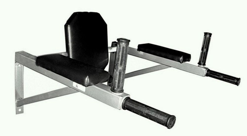 Брусья настенные со спинкой и подлокотниками разборные Pioner A17859