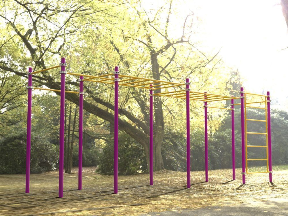 Комплекс для занятий Воркаут Pioner A16910