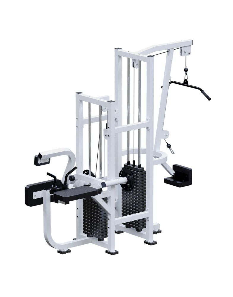 Тяга сверху, Бицепс, Трицепс, Пресс  (стек 70кг, 100кг) Pioner A11998