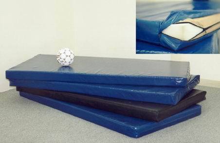 Мат гимнастический 1х2х0,1м, У, иск. кожа  Pioner A10236