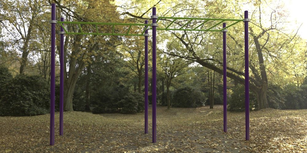 Рукоход двухуровневый для Воркаут  Pioner A17274