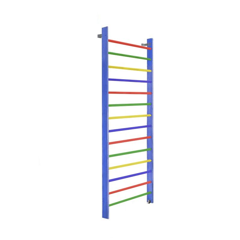 Стенка гимнастическая 300х100 (массив.сосна), цветная  Pioner A15898