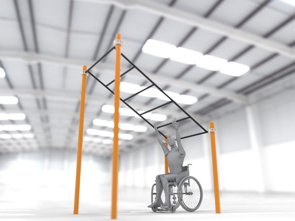 Рукоход в подъем параворкаут   Pioner A11839