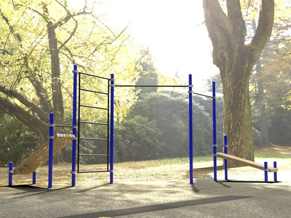 Комплекс для занятий Воркаут  Pioner A16727