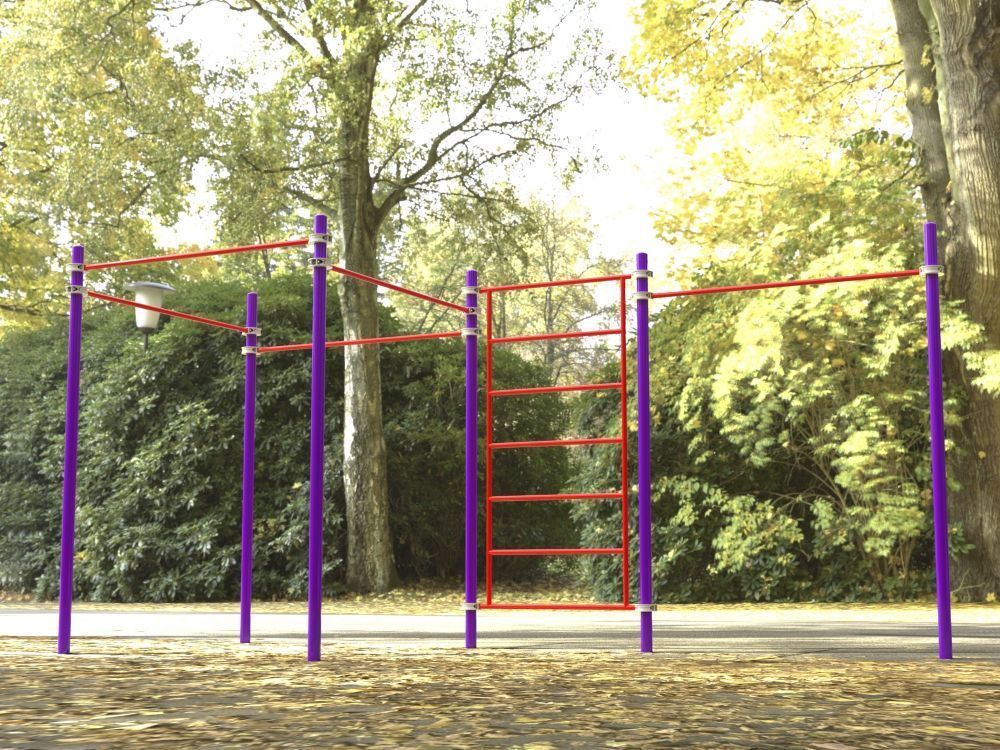 Комплекс для занятий Воркаут Pioner A16894