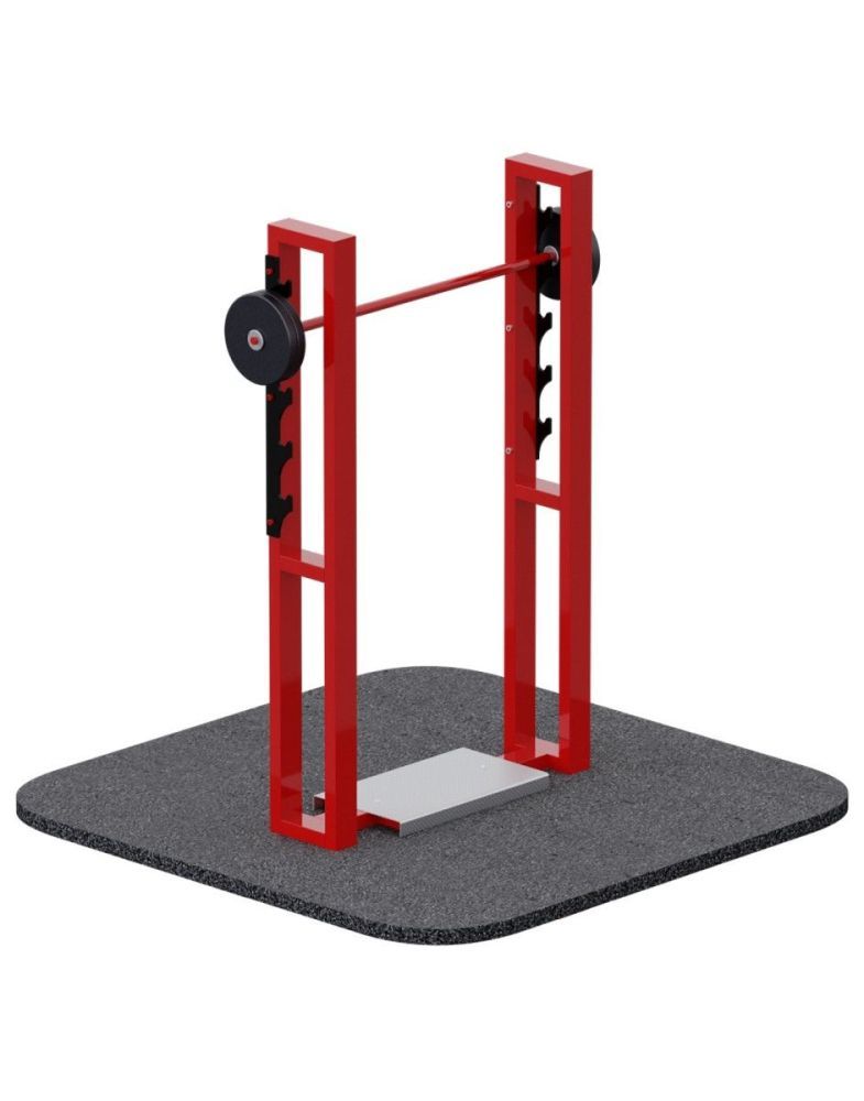 Приседания со штангой   Pioner A15541