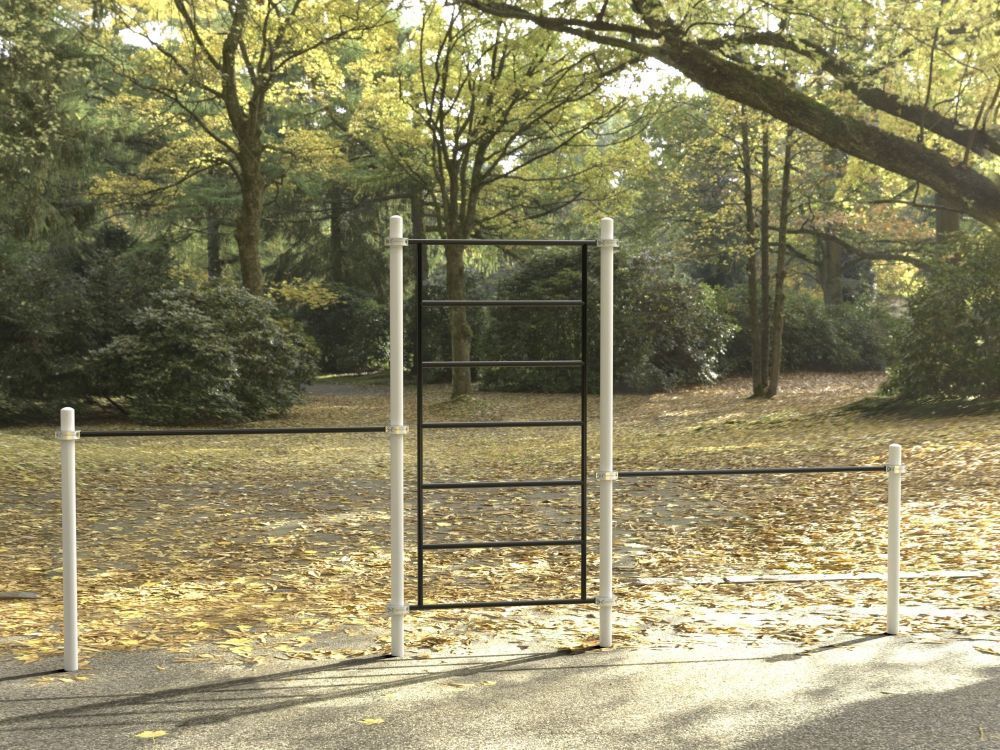 Комплекс для занятий Воркаут  Pioner A16852