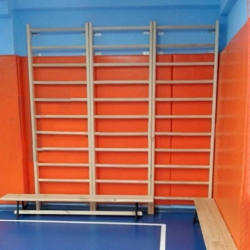 Стенка шведская трехсекционная, ширина 240 см, высота 240 см  Pioner A16815