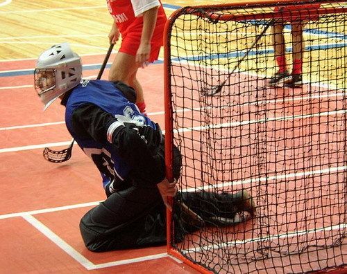 Сетка для флорбольных воротная, d=2.2мм  Pioner A12574