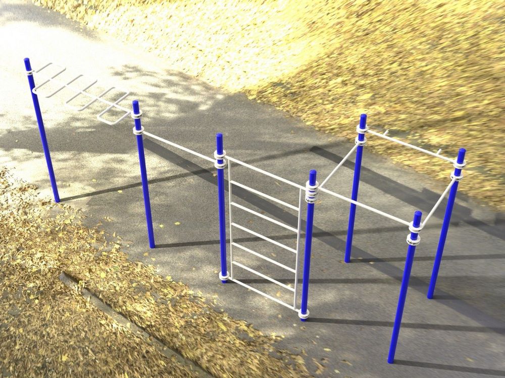 Комплекс с рукоходом-змейка, шведской стенкой и турниками Воркаут  Pioner A16703