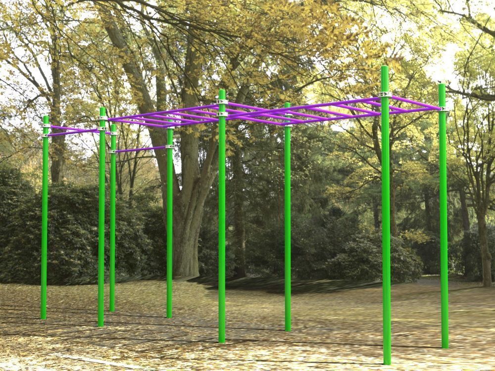 Комплекс для Воркаут с рукоходом двухуровневым и 3 турниками Pioner A16699