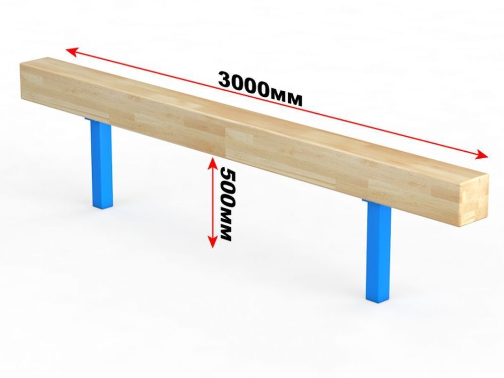 Бревно гимнастическое для улицы 14.302 Pioner A13564