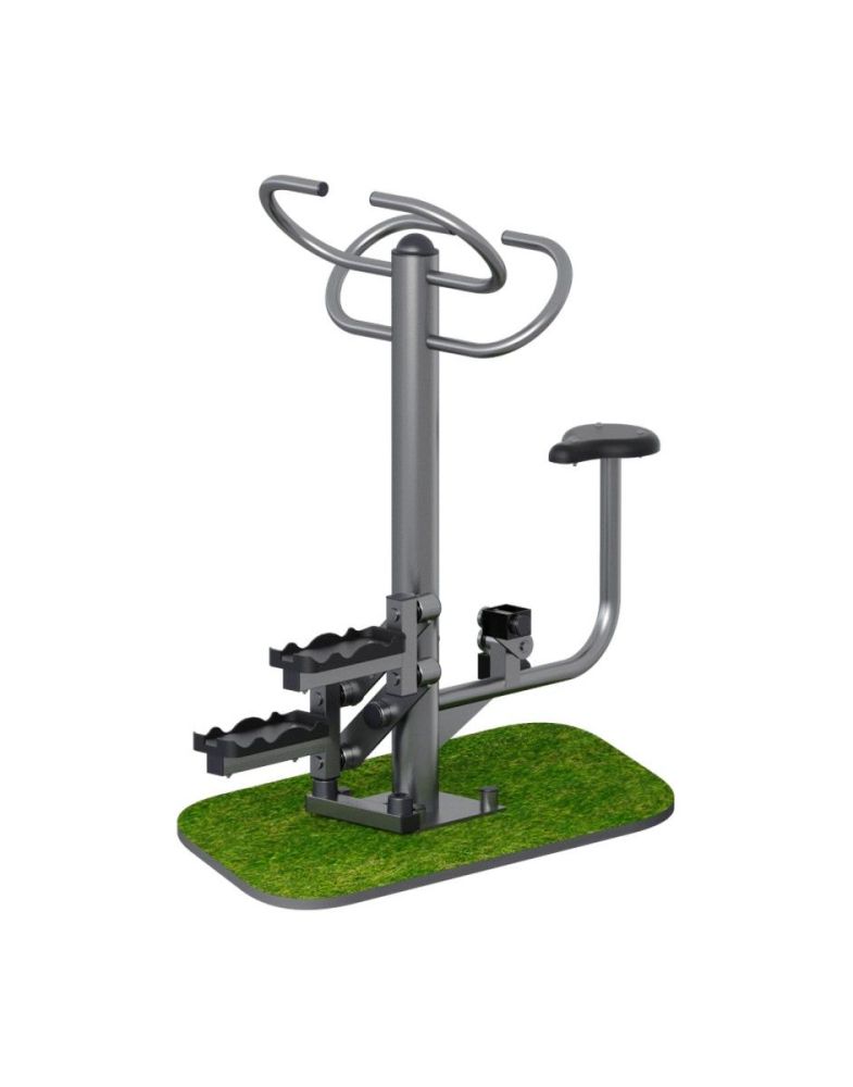 Велосипед + Степ для двоих  Pioner A15544