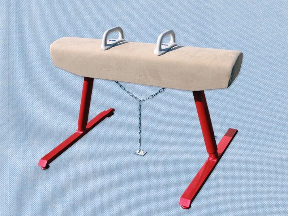 Конь гимнастический маховый профессиональный  Pioner A14713