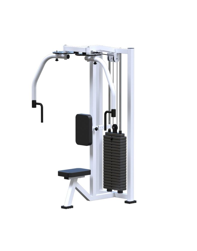 Баттерфляй-Задние дельты  (стек 100кг)  Pioner A11965