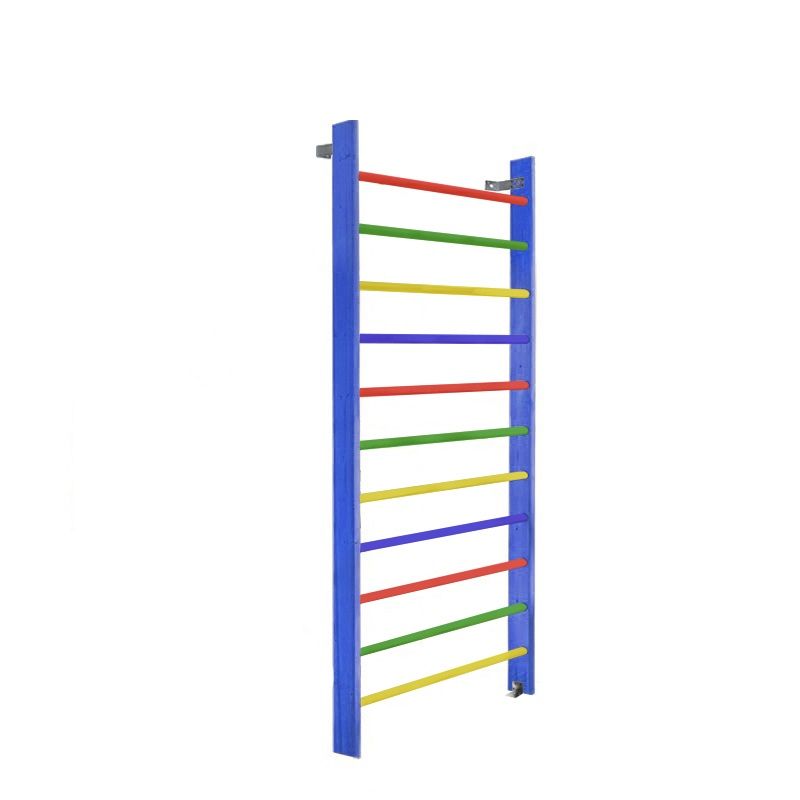 Стенка гимнастическая 240х100 (массив.сосна), цветная  Pioner A15828