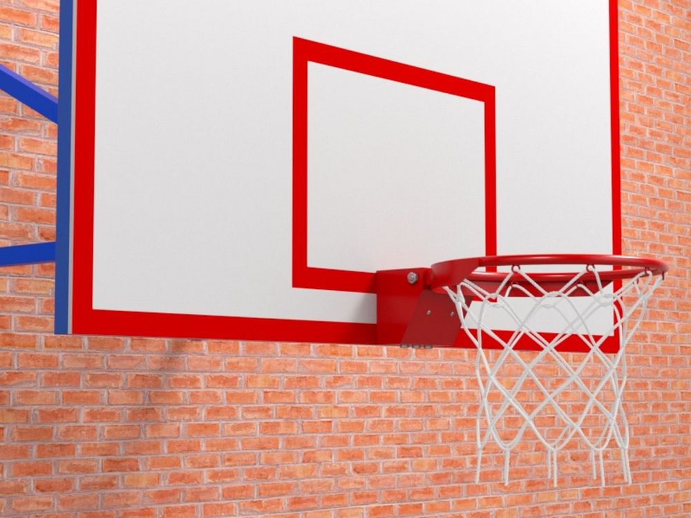 Ферма с выносом 1,2 м с игровым щитом и массовым кольцом  Pioner A13299