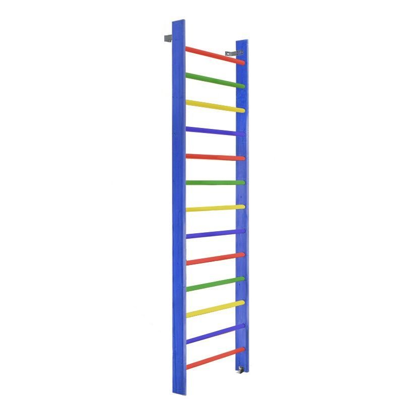 Стенка гимнастическая 280х80 (массив.сосна), цветная  Pioner A15838