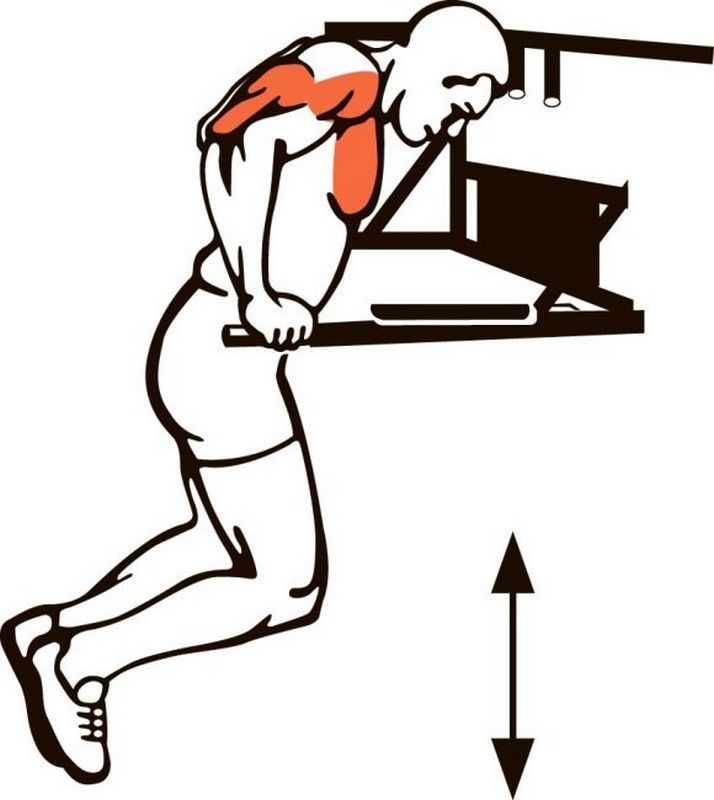 Брусья-пресс настенные  Pioner A17174