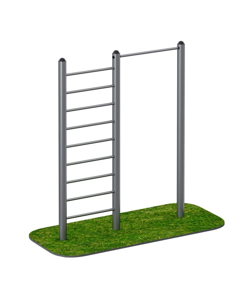 Турник с лестницей   Pioner A15670