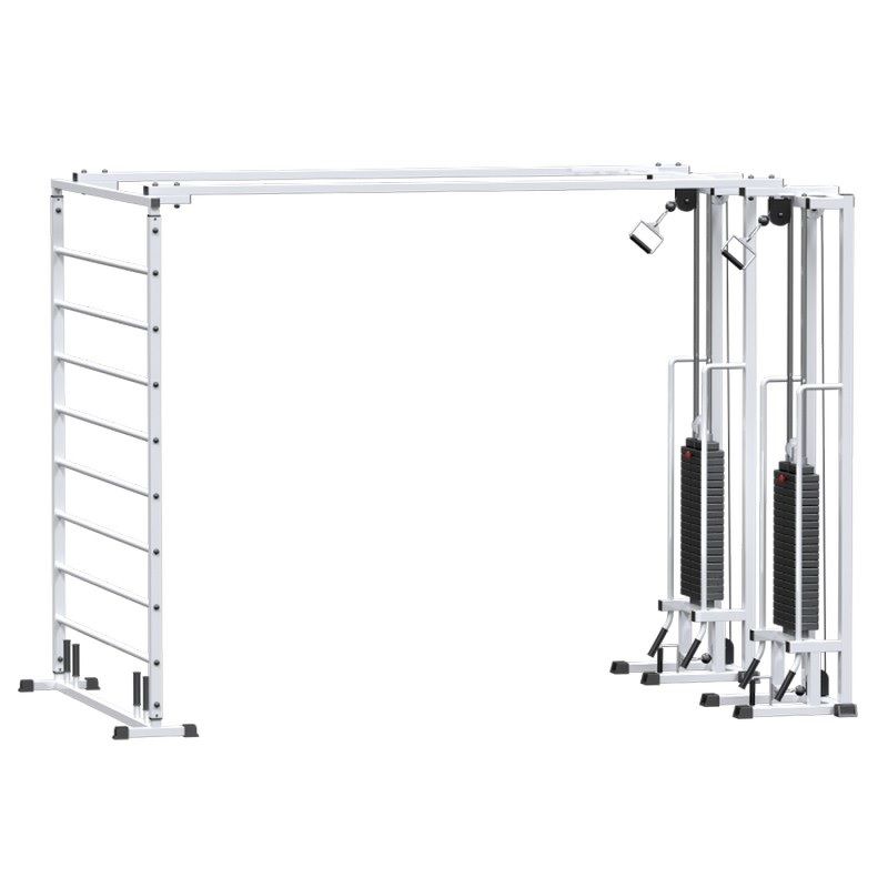 Реабилитационный комплекс со шведской стенкой  Pioner A11760