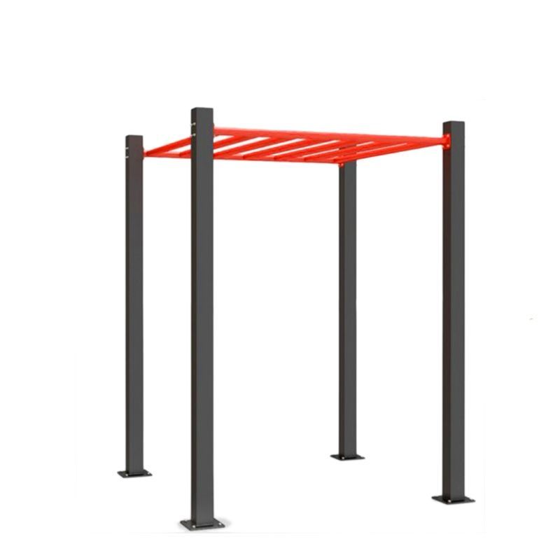 Рукоход для воркаута  Pioner A16056