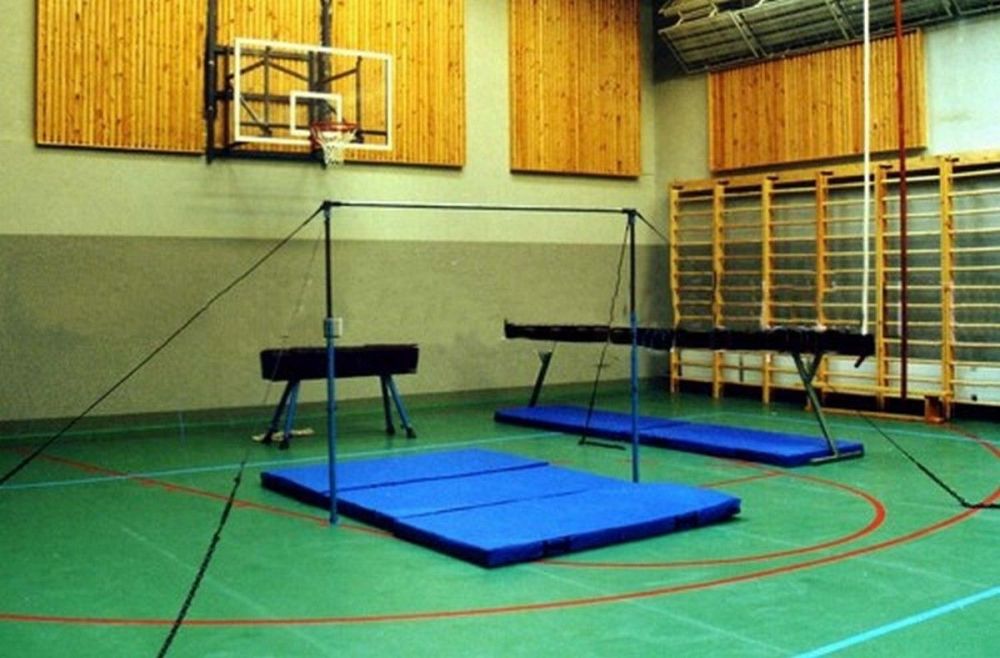 Перекладина гимнастическая универсальная  Pioner A14766