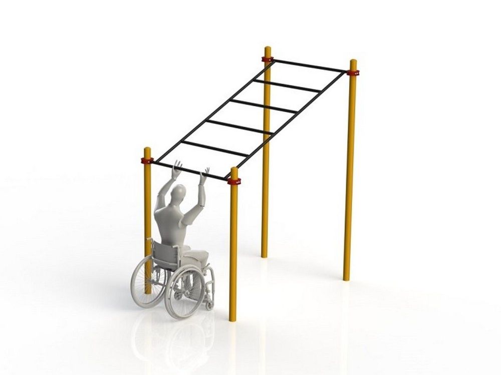 Рукоход в подъем параворкаут  Pioner A11838