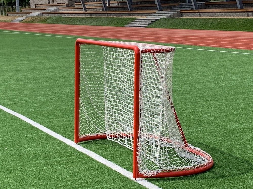 Ворота хоккейные професcиональные (крепление под фиксаторы)  Pioner A13764