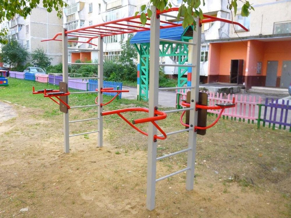 Уличный спортивный комплекс с рукоходом  Pioner A16873