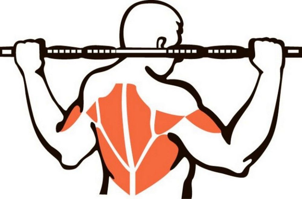 Турник потолочный 60см Pioner A17022