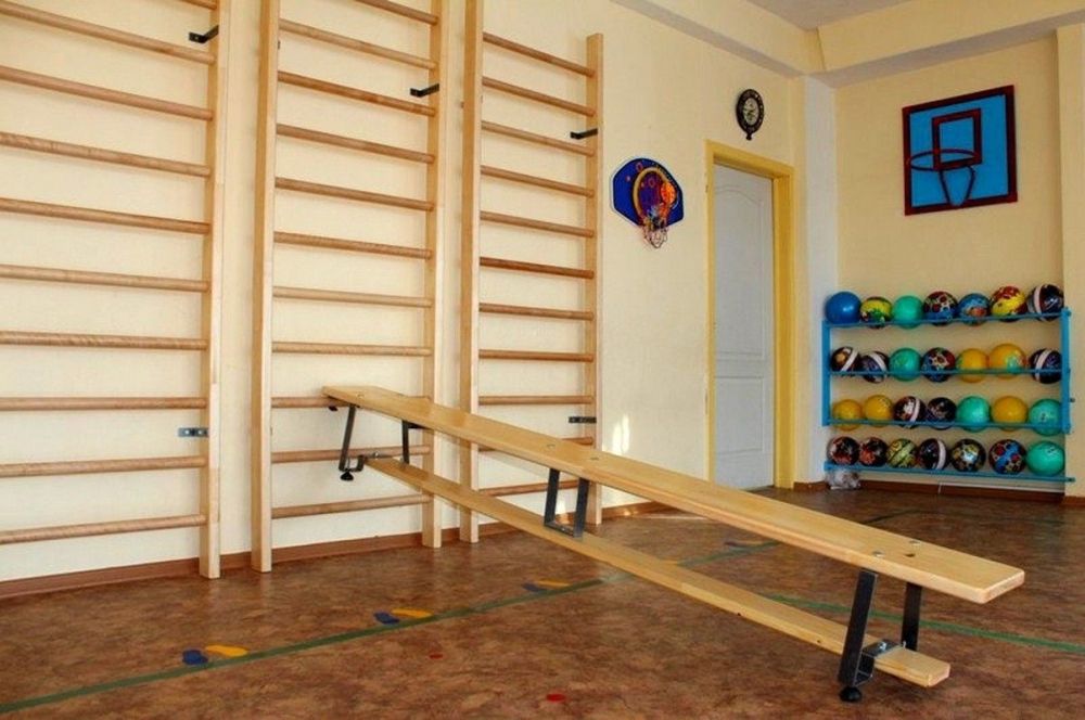 Стенка шведская 320х80см, с перекладинами из фанеры  Pioner A15725