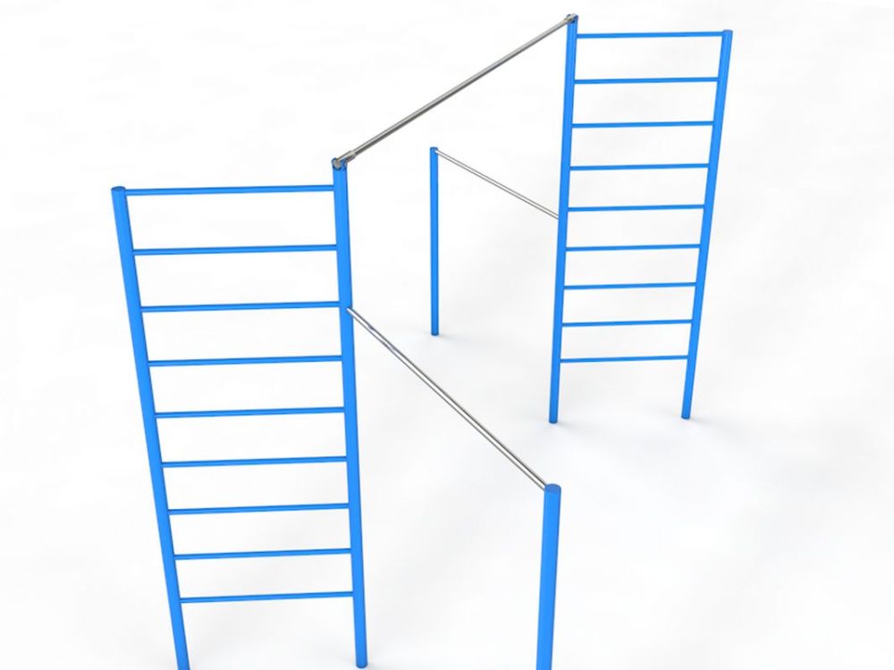 Комплекс из турников и шведских стенок  Pioner A16421