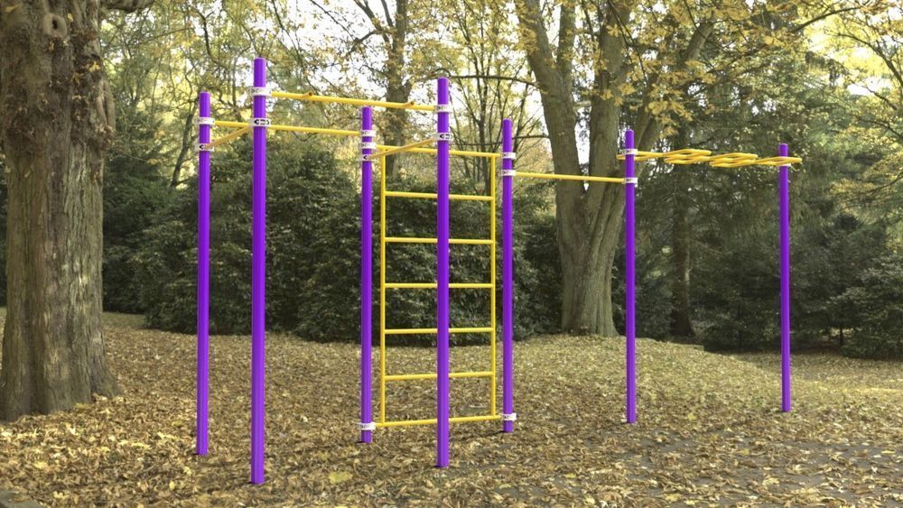 Комплекс с рукоходом-змейка, шведской стенкой и турниками Воркаут Pioner A16703