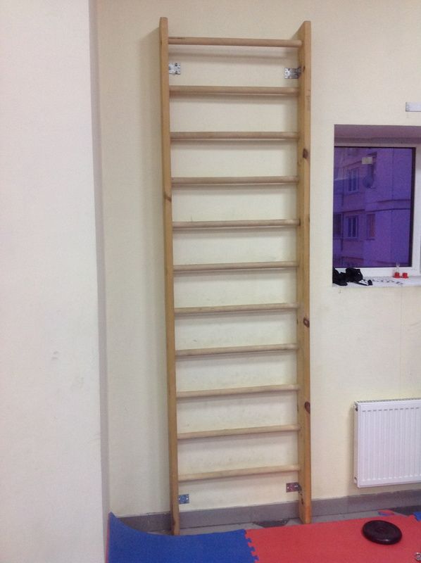 Шведская стенка сосна/береза размер 3000х800 мм  Pioner A16213