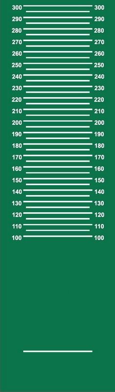 Дорожка для прыжков в длину с места с разметкой, для сдачи норматива (облегченная)  Pioner A12500