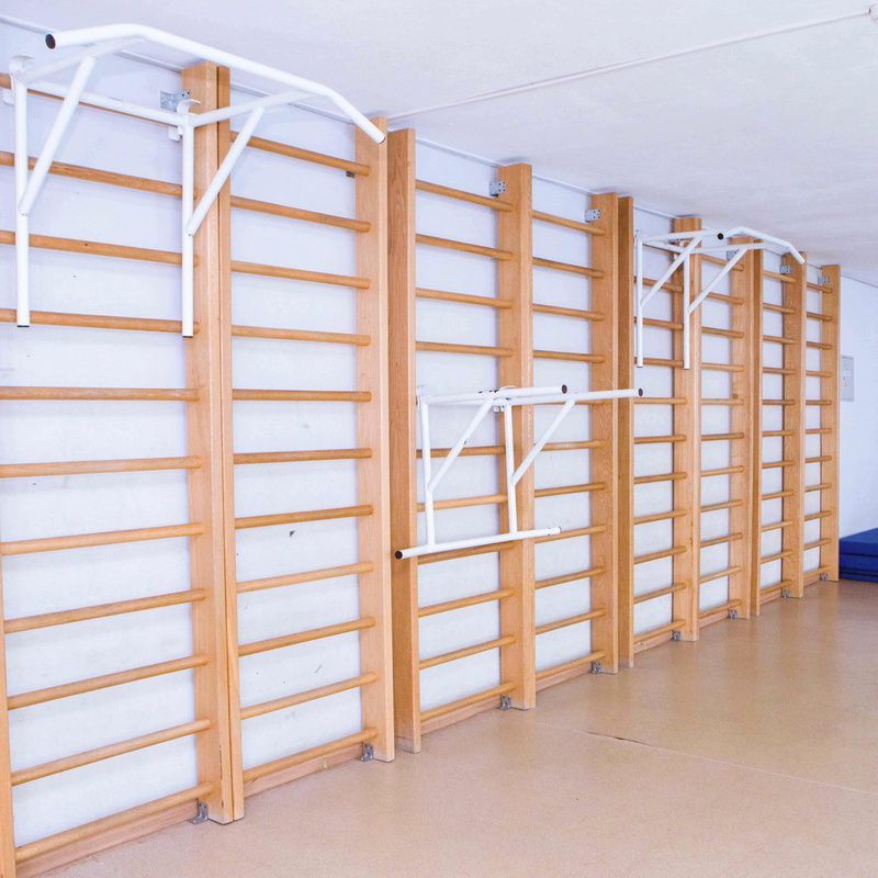 Брусья-турник навесные универсальные на шведскую стенку Pioner A12277