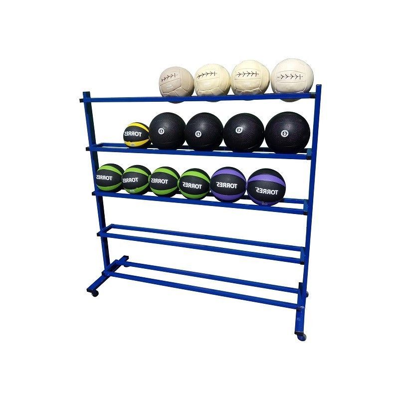 Стеллаж для хранения медболов  4 уровня Pioner A14096